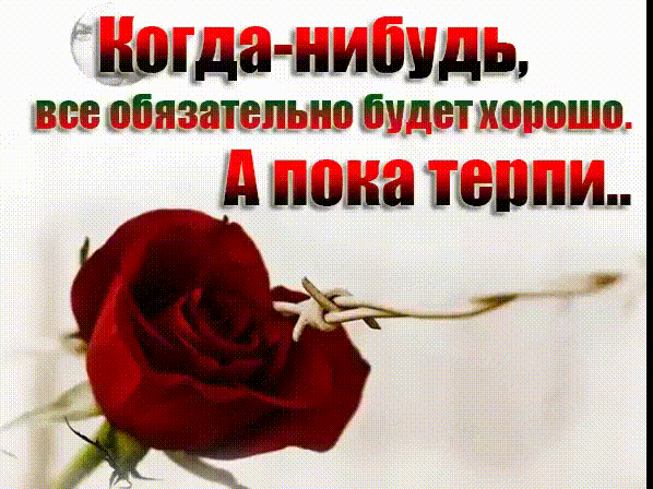 Картинки по запросу ЧЕЛОВЕК, КОТОРЫЙ ХОЧЕТ БЫТЬ РЯДОМ, ВСЕГДА БУДЕТ РЯДОМ