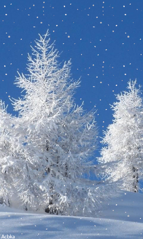 Похожее изображение